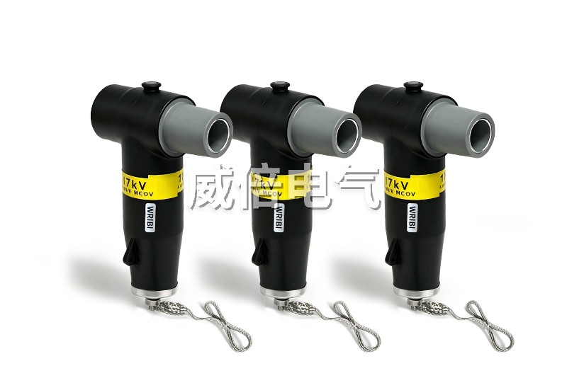 10KV欧式后接避雷器